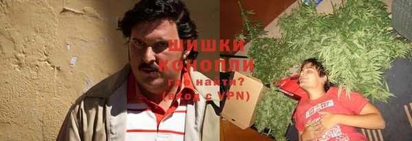 ПСИЛОЦИБИНОВЫЕ ГРИБЫ Богородск