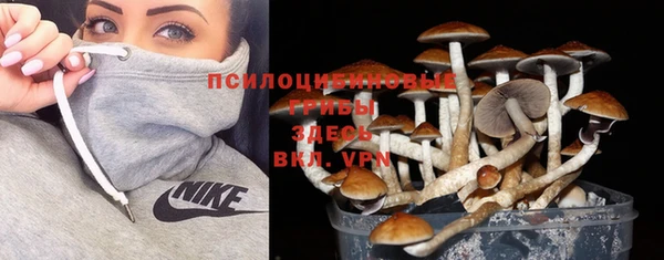 ПСИЛОЦИБИНОВЫЕ ГРИБЫ Богородск