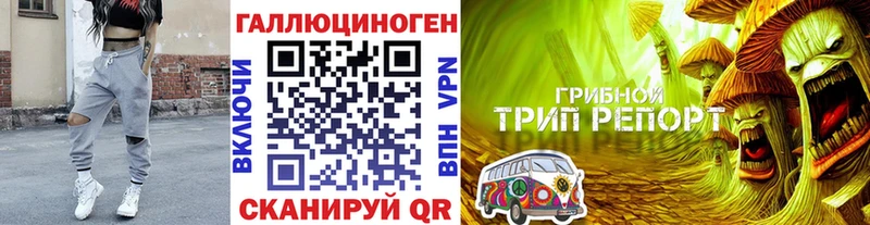 Псилоцибиновые грибы GOLDEN TEACHER  Болотное 